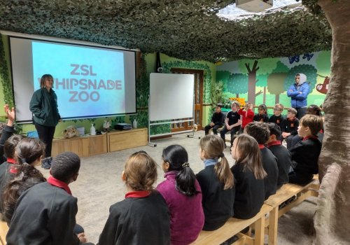 Year 3 Visit Whipsnade Zoo
